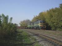  262-0104