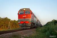  3116-006