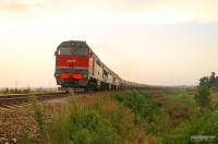  3116-006