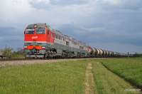  3116-004