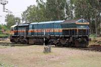  WDG4-12661