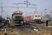  WDG4-12199  WDG4-12993