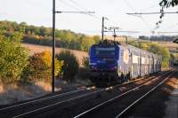  82-7311    