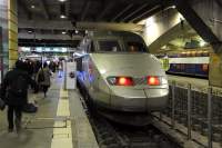   TGV 344