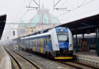  651 213-1