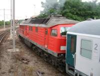 Typ 241