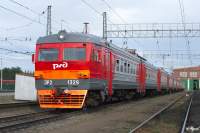   P/D-2